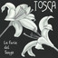 Tango cover