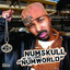Numskull profile
