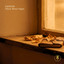 There Were Signs - Yanson