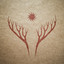 Korzenie cover