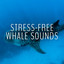 Stress-free Whale Sounds cover