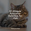 50 Ultimate Relaxation Collection For Cats cover