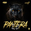 Pantera 20 cover