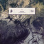 Crucial - Rigopolar Remix