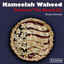 America the Beautiful (Bruise Vocal Remix) Kameelah Waheed