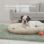 Affectionate Ambient Music: Cheer Up Pets cover