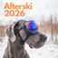 Afterski 2026 cover