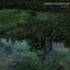 Shapes — Tumpak Sewu cover art