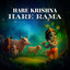 Hare Krishna Hare Rama cover