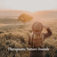 Therapeutic Nature Sounds: Stress Management Music to Relax Naturally cover