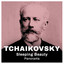 Tchaikovsky: Sleeping Beauty - Panorama - Excerpt cover