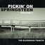 Pickin' On Bruce Springsteen Volume 2: The Bluegrass Tribute cover