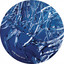 Bluetrain — Precious Times cover art