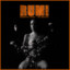 Rumi cover