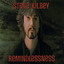 Remindlessness cover