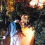 Dusk cover