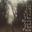 The Hero and the Pain cover
