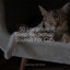 50 Loopable Sleep Relaxation Sounds For Cats cover