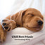 Chill Rest Music: Pets Dreaming All Day cover