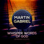 Martin Gabriel profile