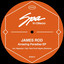 Amazing Paradise - Olej Remix