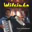 Sanfona de Ouro cover