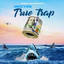 True Trap (Reloaded) cover