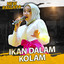 Ikan Dalam Kolam cover
