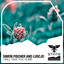 I Will Take You Home - Extended Mix