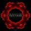Positron - Erdi Irmak Remix