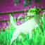 Backdrop for Laughing Dogs cover