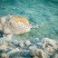 Sea Salt cover