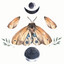 Blind Faith cover