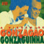 A viagem de Gonzagão e Gonzaguinha cover