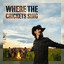 JJ Lavallee - Where the Crickets Sing
