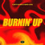 FLUFFY ALPACA — Burnin' Up cover art