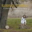 Bluegrass Number 1's cover