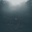 Sleep during Soft Rain cover art