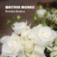 Roseira Branca cover