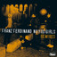 Franz Ferdinand - No You Girls (Vince Clarke Remix)