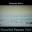 Peaceful Pauses Twenty-Nine (Panpipe) cover
