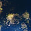 deeply - Be Still the Earth