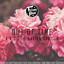 Andeen K - Out of Time