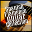 Spanish Flamenco Guitar Collection cover