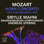 Horn Concerto No. 4 in E-Flat Major, K. 495: I. Allegro maestoso