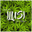 ILUSI cover