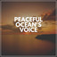Peaceful Ocean's Voice cover