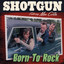Shotgun cover