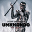 Unknown Title cover