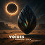 Boundless — Voices cover art